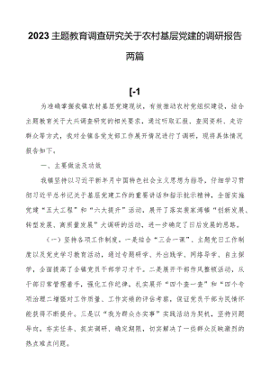 2023主题教育调查研究关于农村基层党建的调研报告两篇.docx