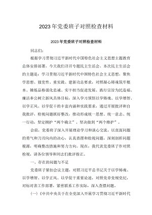 2023年党委班子对照检查材料.docx