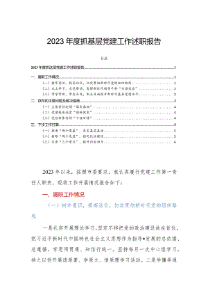 2023年度抓基层党建工作述职报告.docx