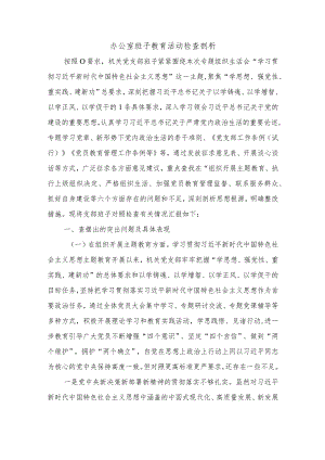 办公室班子教育活动检查剖析.docx