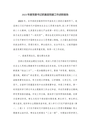 2023年党委（工委）书记抓基层党建工作述职报告范文.docx