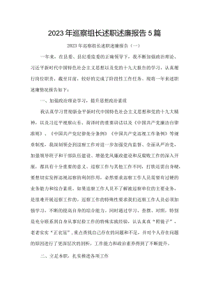 2023年巡察组长述职述廉报告5篇.docx