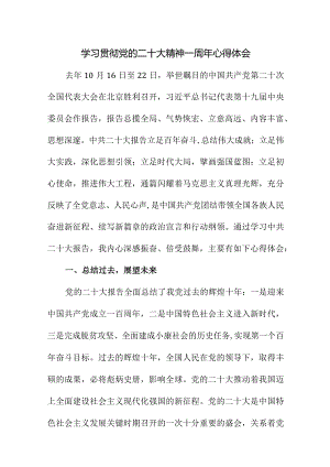 2023年三甲医院学习贯彻党的二十大精神一周年心得体会（汇编5份）.docx