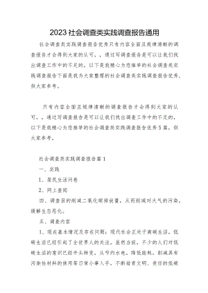 2023年社会调查类实践调查报告.docx