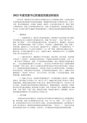 2022年度党委书记抓基层党建述职报告.docx