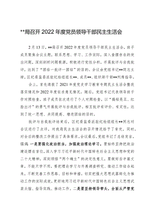 2022年度党员领导干部民主生活会（简报）.docx