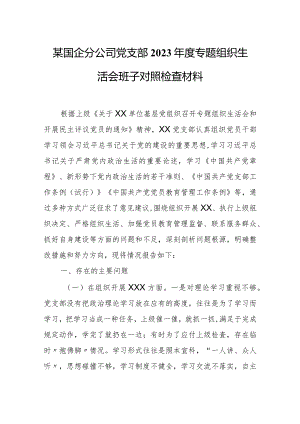 某国企分公司党支部2023年度专题组织生活会班子对照检查材料.docx