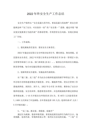 2022年终安全生产工作总结.docx