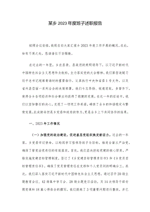 某乡2023年度班子述职报告.docx