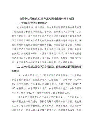 国企公司支部2023-2024年度班子对照检查材料（会前准备+上年度整改+践行宗旨等6个方面）.docx