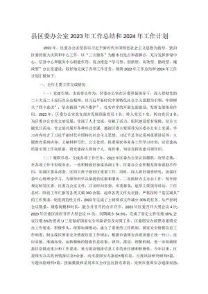县区委办公室2023年工作总结和2024年工作计划.docx