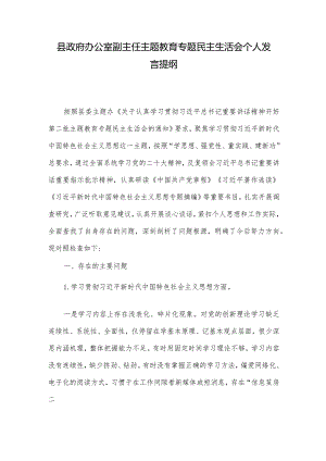 县政府办公室副主任主题教育专题民主生活会个人发言提纲.docx