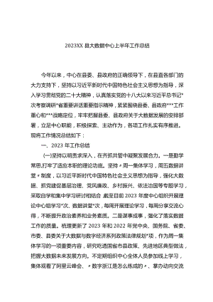 2023xx县大数据中心上半年工作总结.docx