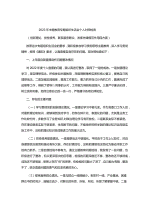 2023年主题教育专题组织生活会个人对照检查.docx