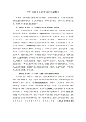 2023年度个人述职述责述廉报告.docx