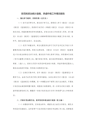防范和惩治统计造假、弄虚作假工作情况报告.docx