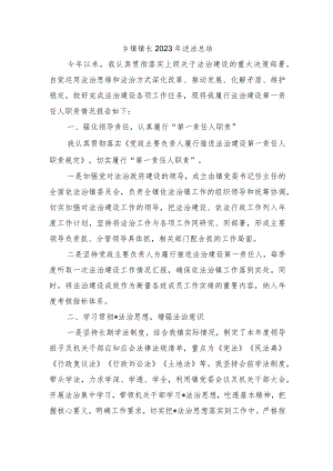 乡镇镇长2023年述法总结.docx