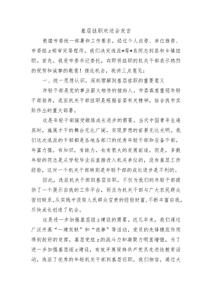 基层挂职欢送会发言.docx