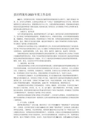 县区档案局2023年度工作总结.docx