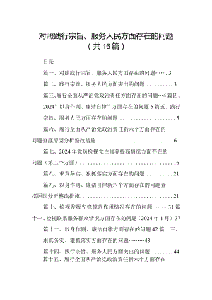 对照践行宗旨、服务人民方面存在的问题最新精选版【16篇】.docx