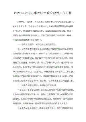2023年街道办事处法治政府建设工作汇报.docx