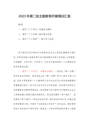 2023年第二批主题教育开展情况汇报.docx
