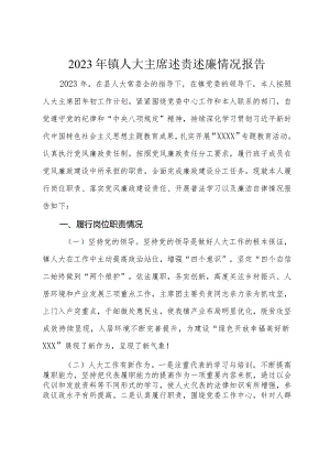 2023年镇人大主席述责述廉情况报告.docx