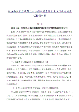 2023年组织开展第二批集中教育专题民主生活会自我查摆检视材料.docx