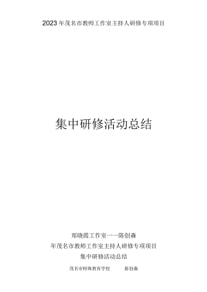 2023年茂名市教师工作室主持人研修专项项目集中研修活动总结陈创森.docx