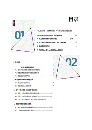 2023抖音生活服务酒旅行业报告.docx