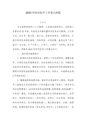 2023年防汛抗旱工作要点两篇.docx