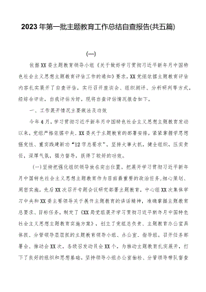 2023年第一批主题教育工作总结自查报告（共五篇）.docx