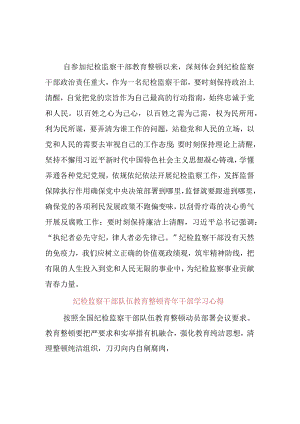 2023年纪检监察干部队伍教育整顿心得体会.docx