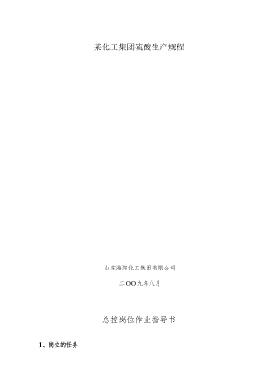 某化工集团硫酸生产规程.docx