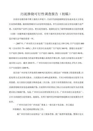 污泥掺烧的可行性报告.docx