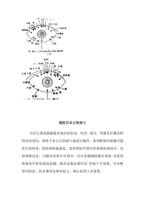 瑶医目诊云阳居士.docx