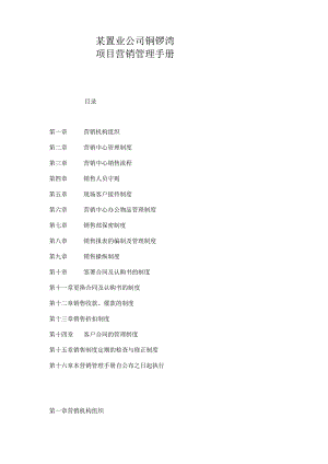 某置业公司铜锣湾项目营销管理手册.docx