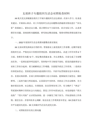 支部班子专题组织生活会对照检查材料.docx