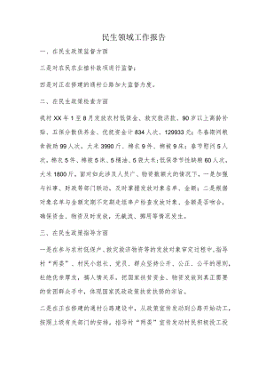 民生领域工作报告.docx