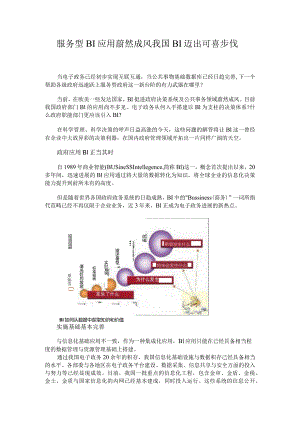 服务型BI应用蔚然成风我国BI迈出可喜步伐.docx