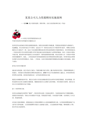 某某公司人力资源顾问实施案例.docx