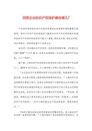民营企业知识产权保护难在哪儿-.docx