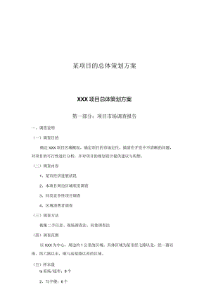 某项目的总体策划方案.docx