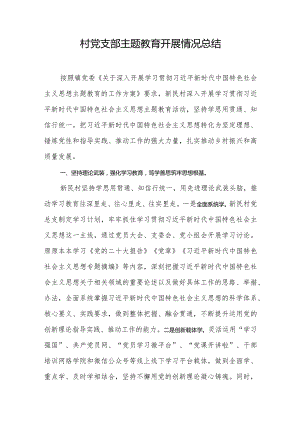 村党支部主题教育开展情况总结.docx
