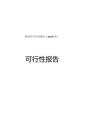 某项目可行性报告(doc45页).docx