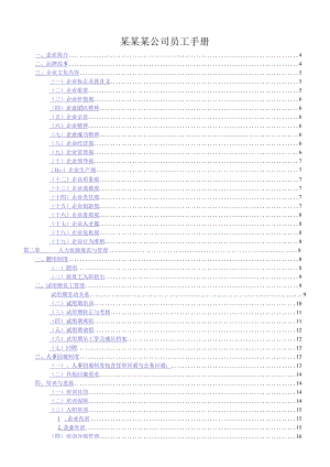 某某某公司员工手册.docx