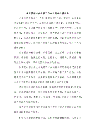 民营企业党员干部学习贯彻中央经济工作会议精神.docx