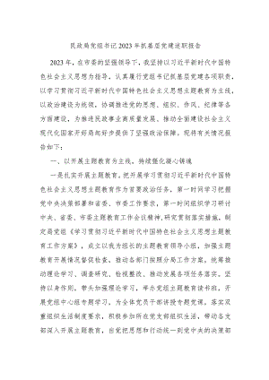 民政局党组书记2023年抓基层党建述职报告.docx
