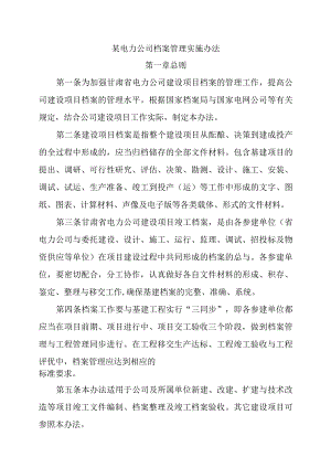 某电力公司档案管理实施办法.docx