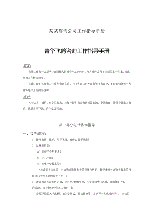 某某咨询公司工作指导手册.docx